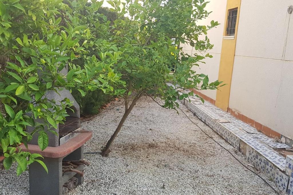 Punta Prima Bungalow Jardin Privado Torrevieja Esterno foto